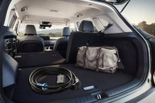 Load image into Gallery viewer, E19 EV Charger