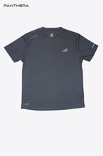 Load image into Gallery viewer, PANEL R NECK T-SHIRT (GRAY)