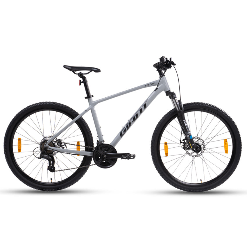 RINCON 29er Bike Ash Gray Rugged All-Terrain Bike