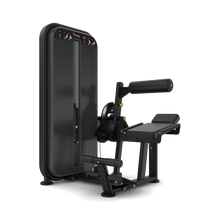 Load image into Gallery viewer, AB / LOW BACK