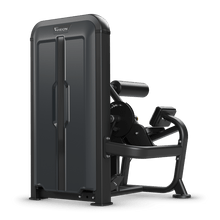Load image into Gallery viewer, Vision Fitness Ab / Low Back