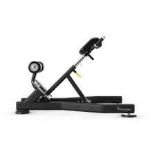 Load image into Gallery viewer, BACK EXTENSION BENCH