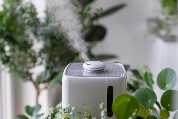 Air Purifier in Pakistan
