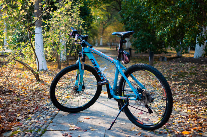 Unveiling Your Perfect Ride: Bicycle Types & Buying Guide for Pakistan