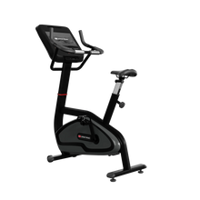 Load image into Gallery viewer, 4UB Upright Bike
