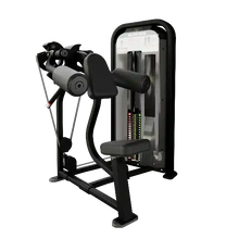 Load image into Gallery viewer, Impact® Deltoid Raise
