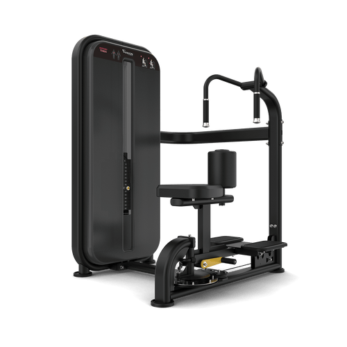 Rotary torso machine available in Lahore