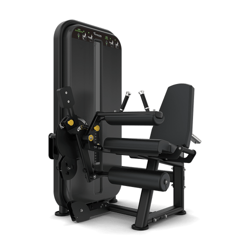 Leg extension leg curl machine available in Lahore