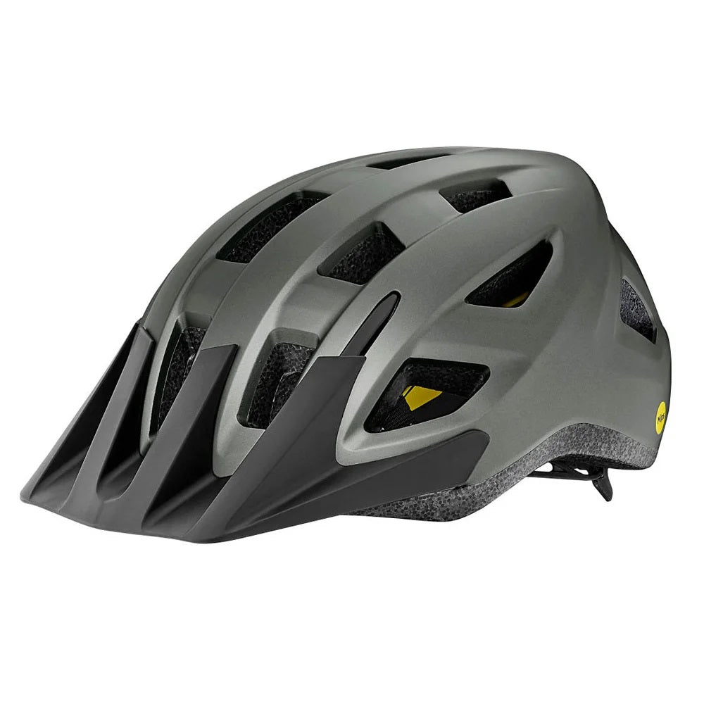 giant-recreational-helmet-path-mips-matte-steel