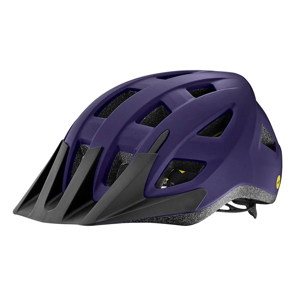 giant-recreational-helmet-path-mips-matte-blue