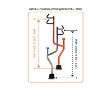 Load image into Gallery viewer, FDF FLUID POWER CLIMB
